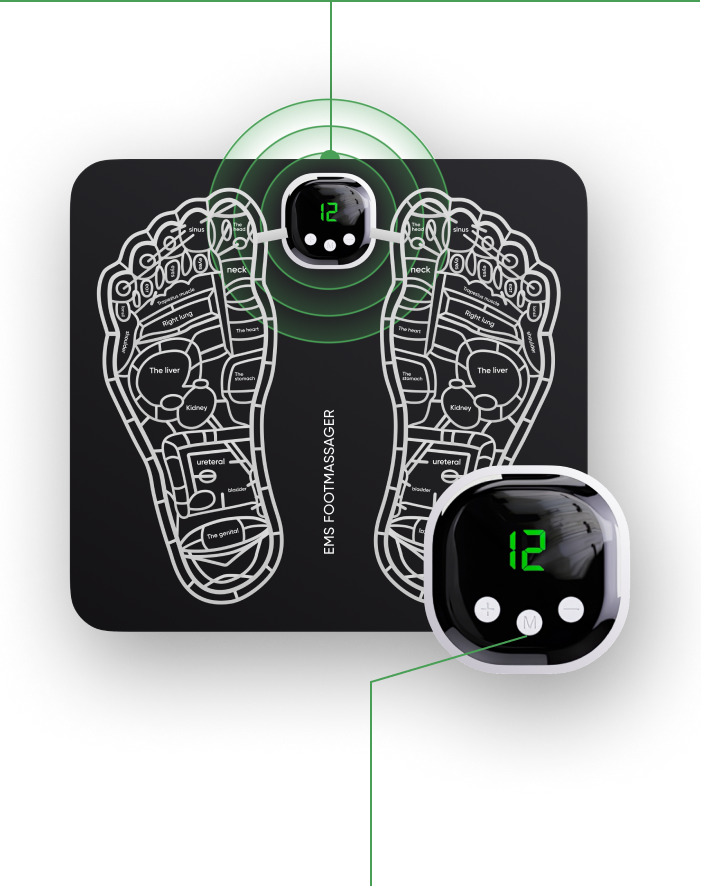 EMS Mat features