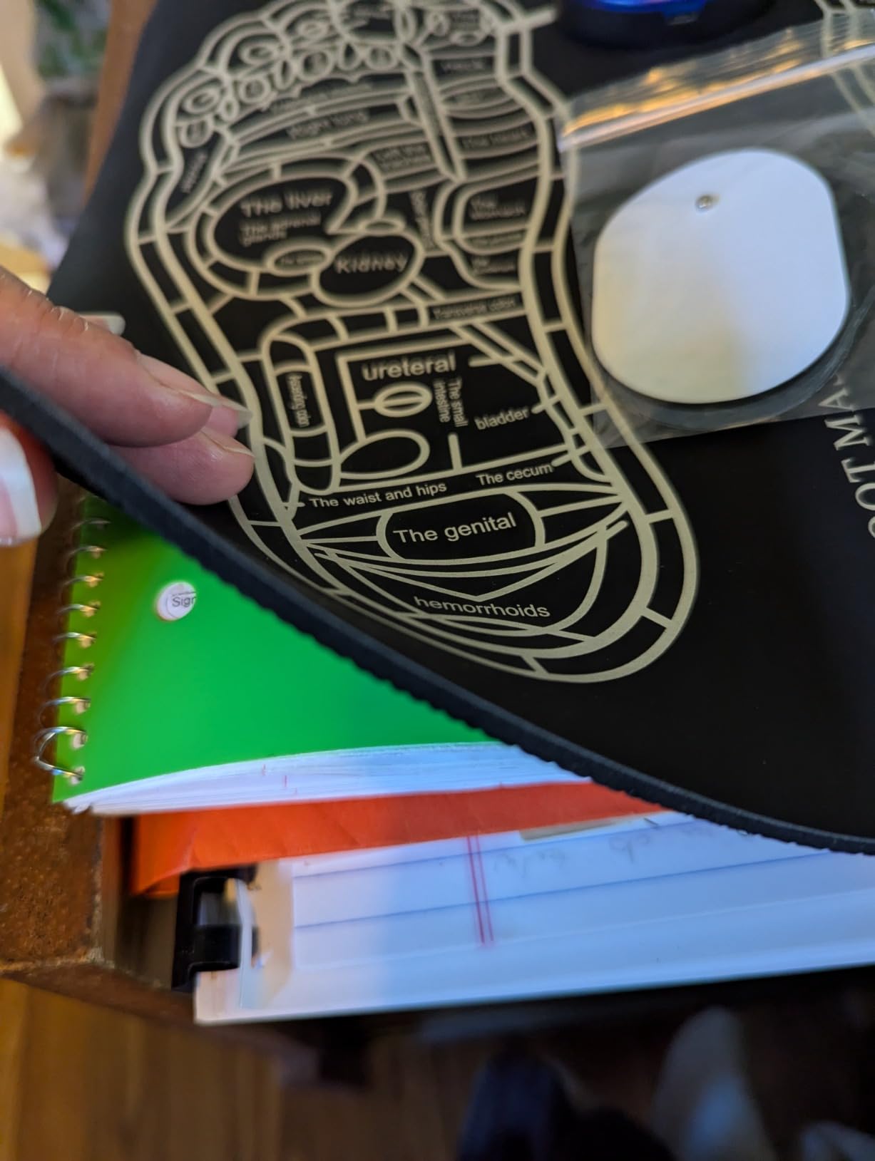 Photo of Erika M.'s testimonial